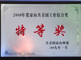 2008年度凉山共青团工作综合奖